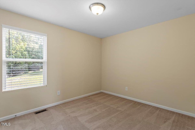 101 Golden Meadow Ct, Durham, NC 27704 - photo 19