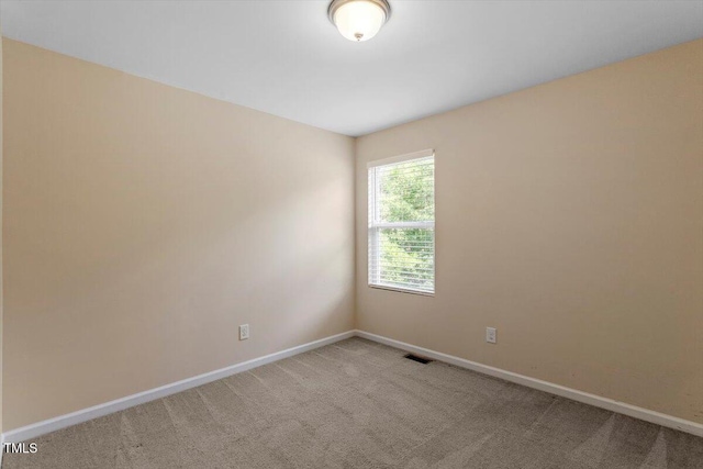 101 Golden Meadow Ct, Durham, NC 27704 - photo 22