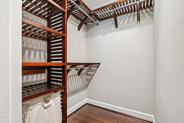 110 High Pine Ct, Cary, NC 27513 - photo 23
