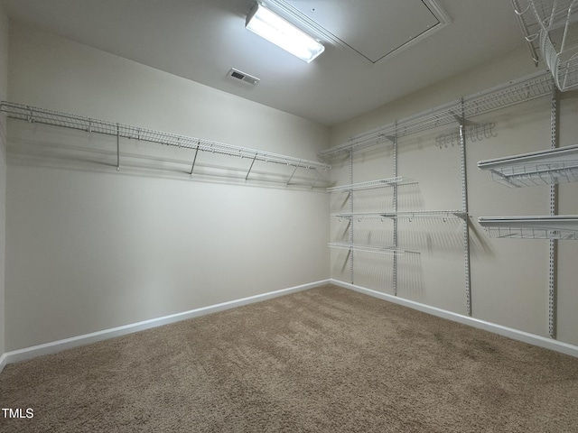 1149 Contessa Dr, Cary, NC 27513 - photo 20