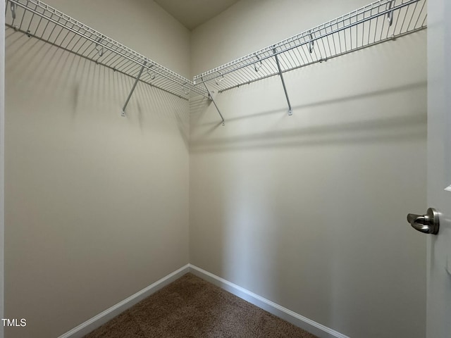 1149 Contessa Dr, Cary, NC 27513 - photo 27