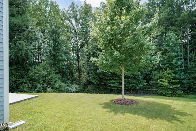 539 Holden Forest Dr, Youngsville, NC 27596 - photo 34