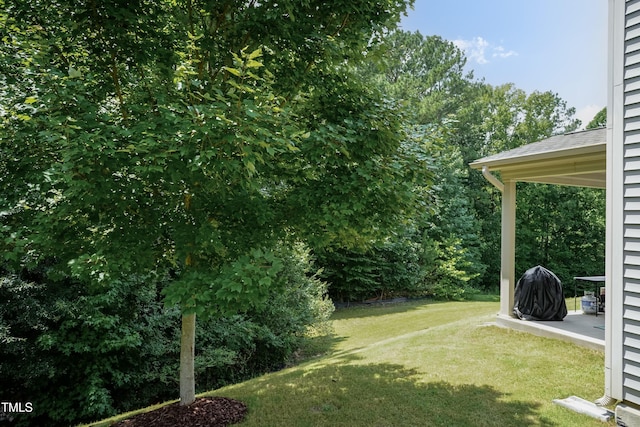 539 Holden Forest Dr, Youngsville, NC 27596 - photo 35