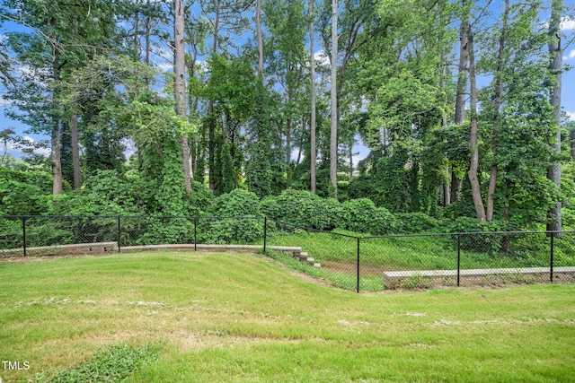 3116 Crater Loop, Raleigh, NC 27610 - photo 17