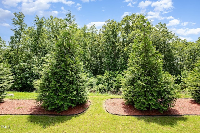 140 E Ravano Dr, Clayton, NC 27527 - photo 30