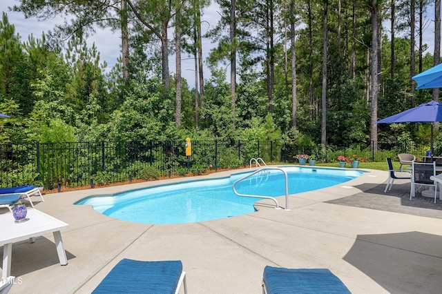 40 Spring Hollow Ct, Pittsboro, NC 27312 - photo 42