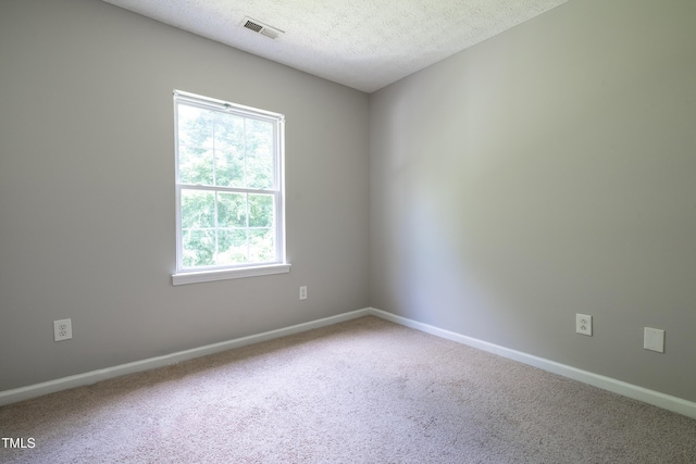 3111 Ivey Wood Ln, Durham, NC 27703 - photo 6