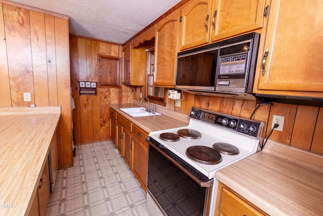 600 Mill Branch Rd, Sharpsburg, NC 27803 - photo 9