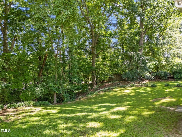 525 Barksdale Dr, Raleigh, NC 27604 - photo 30