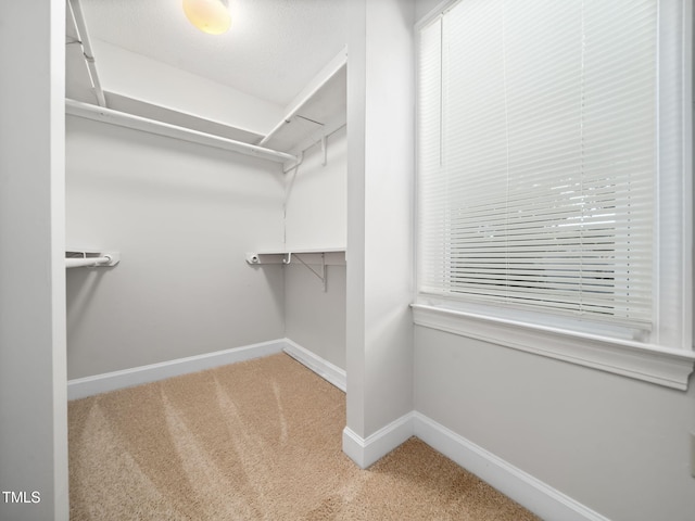 3909 Iron Horse Rd, Raleigh, NC 27616 - photo 31