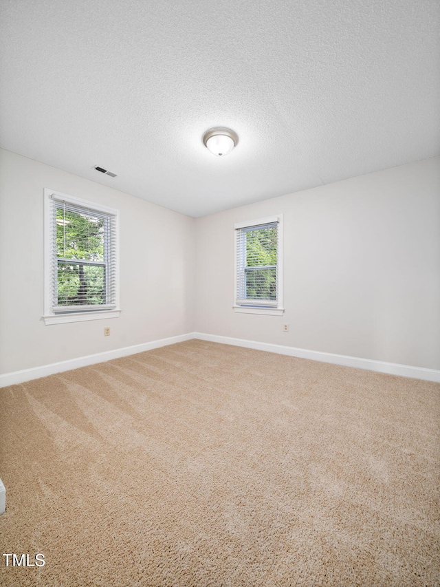 3909 Iron Horse Rd, Raleigh, NC 27616 - photo 37