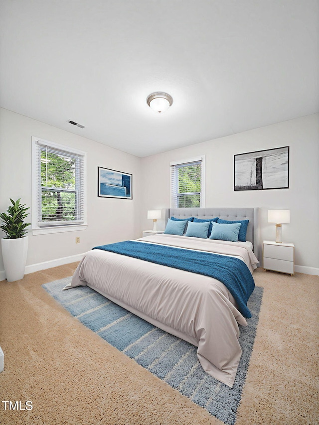 3909 Iron Horse Rd, Raleigh, NC 27616 - photo 38