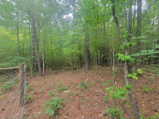 3217 Rowena Ave, Durham, NC 27703 - photo 8