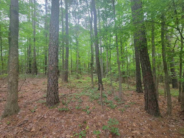 3217 Rowena Ave, Durham, NC 27703 - photo 9