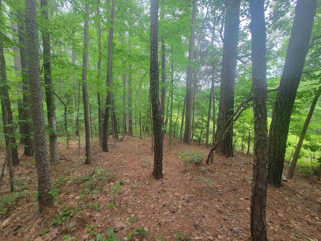 3217 Rowena Ave, Durham, NC 27703 - photo 10