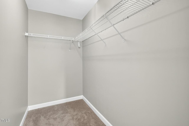 929 Morreene Rd Unit A23, Durham, NC 27705 - photo 22
