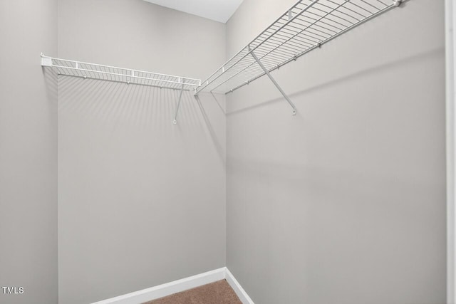 929 Morreene Rd Unit A23, Durham, NC 27705 - photo 36