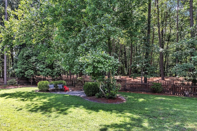 9509 Candor Oaks Dr, Raleigh, NC 27615 - photo 59