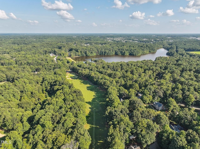 5109 Windance Pl, Holly Springs, NC 27540 - photo 26