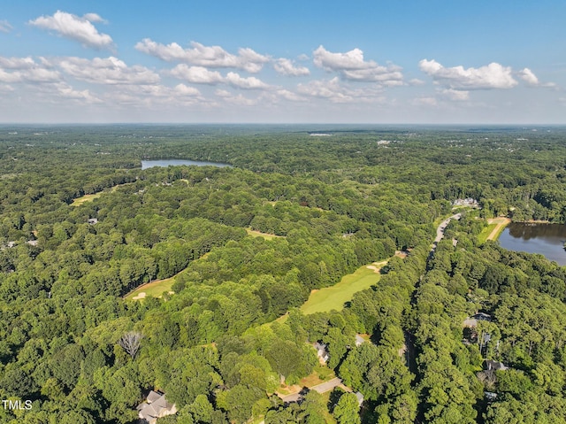 5109 Windance Pl, Holly Springs, NC 27540 - photo 27