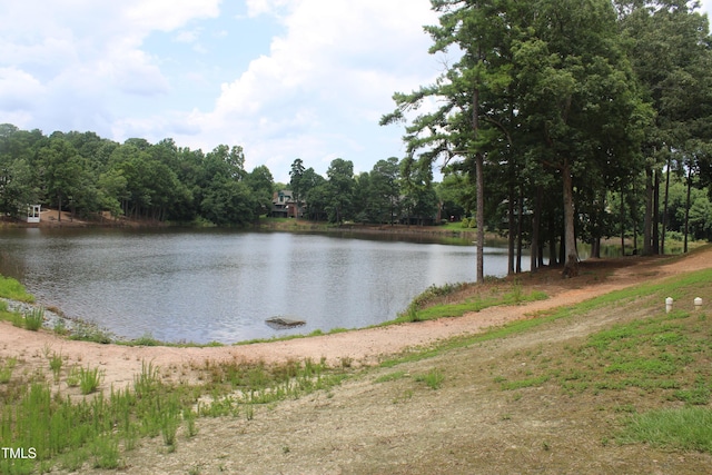 8011 Allyns Landing Way Unit 202, Raleigh, NC 27615 - photo 23