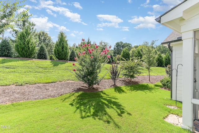713 Churton Pl, Cary, NC 27518 - photo 19