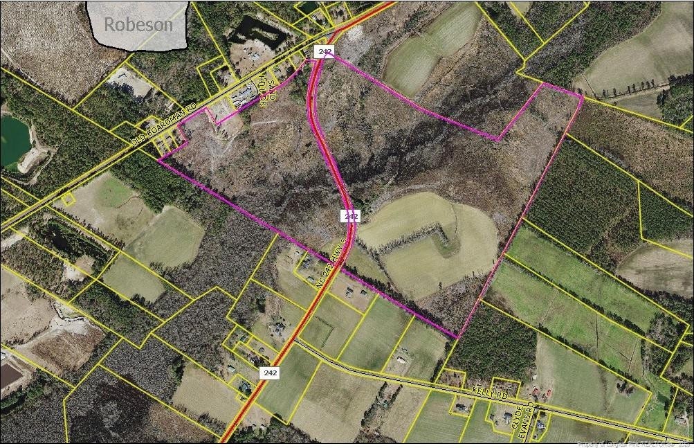 NC-242 Hwy S, Bladenboro, NC 28320 - photo 1