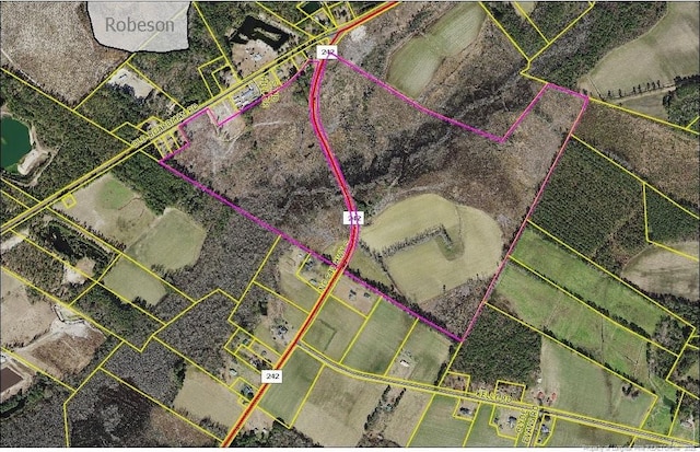 NC-242 Hwy S, Bladenboro, NC 28320 - photo 1