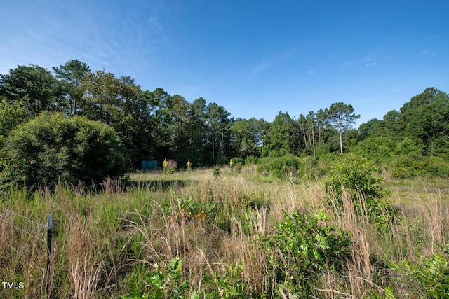 132 W Moore St, Norman, NC 28338 - photo 10