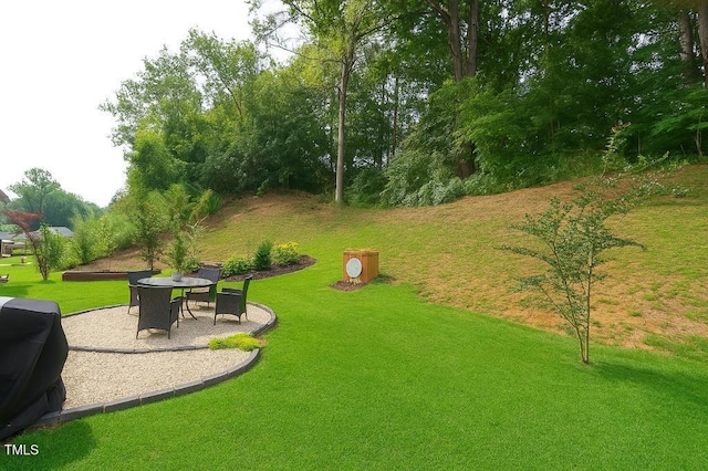 75 Rolling Waters Ct, Lillington, NC 27546 - photo 13