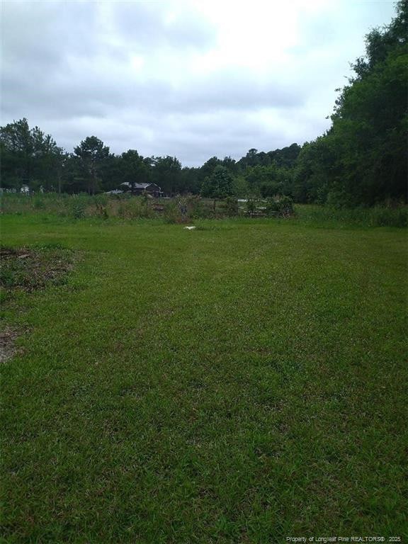 1067 John Mcmillan Rd, Hope Mills, NC 28348 - photo 6