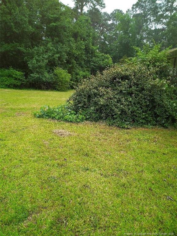 88 Holcomb Rd, Rowland, NC 28383 - photo 3