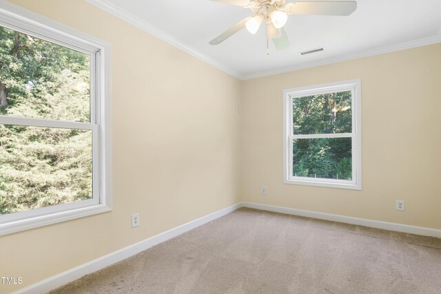 33 Holly Run, Pittsboro, NC 27312 - photo 38