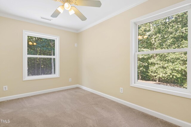 33 Holly Run, Pittsboro, NC 27312 - photo 34