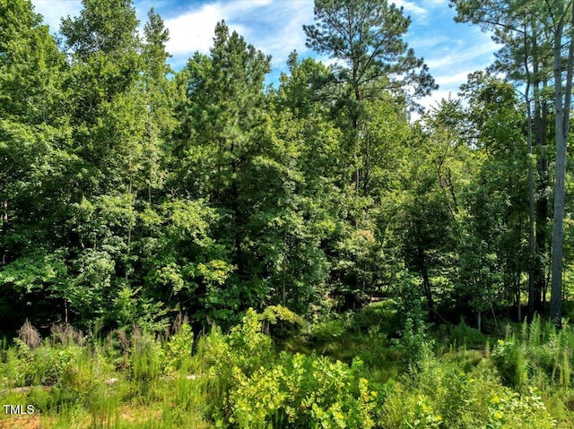 5310 Langdon Dr, Oxford, NC 27565 - photo 5