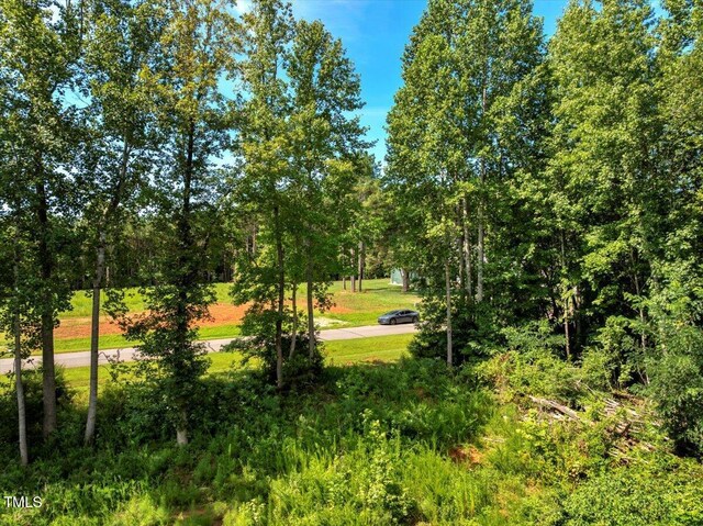 5310 Langdon Dr, Oxford, NC 27565 - photo 3