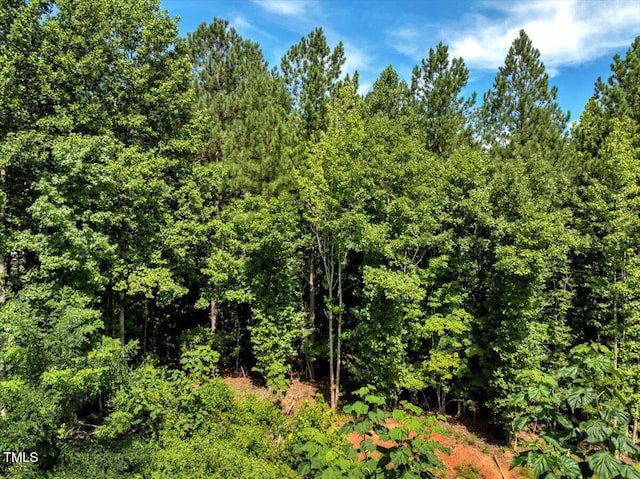 5310 Langdon Dr, Oxford, NC 27565 - photo 4