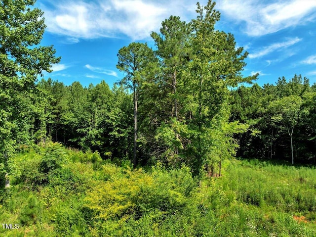 5310 Langdon Dr, Oxford, NC 27565 - photo 7