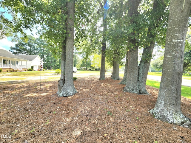 1731 Halltown Rd, Autryville, NC 28318 - photo 43