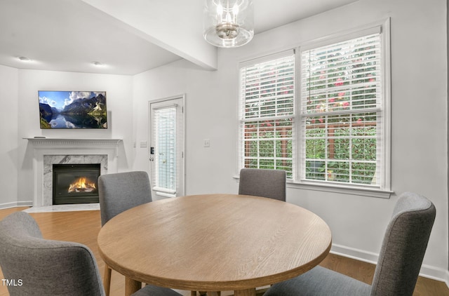 4555 Treerose Way, Raleigh, NC 27606 - photo 5