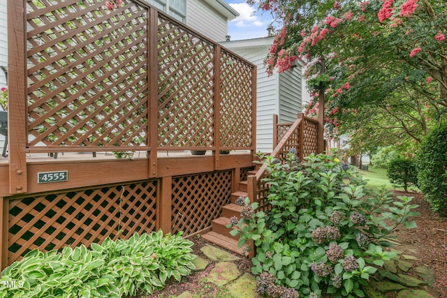 4555 Treerose Way, Raleigh, NC 27606 - photo 32