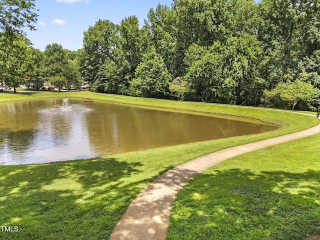 83 Clarks Creek Rd, Pittsboro, NC 27312 - photo 44