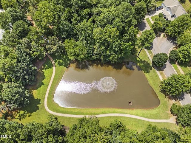 83 Clarks Creek Rd, Pittsboro, NC 27312 - photo 45