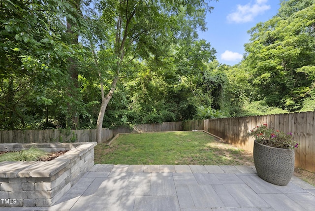1529 Battery Dr, Raleigh, NC 27610 - photo 30