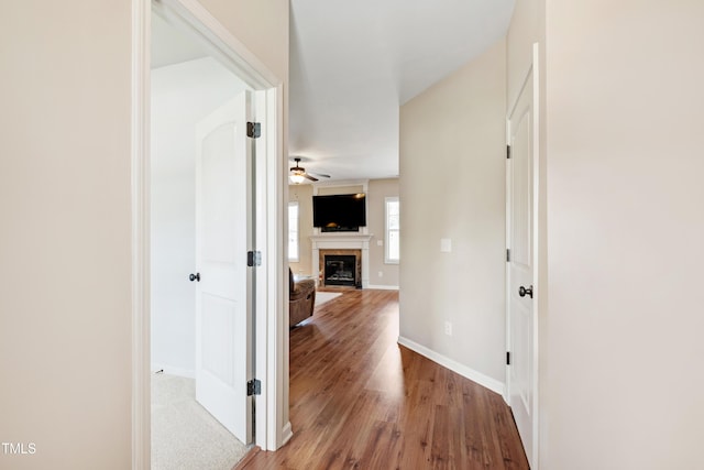 3210 Royal Deeside Ct, Zebulon, NC 27597 - photo 9