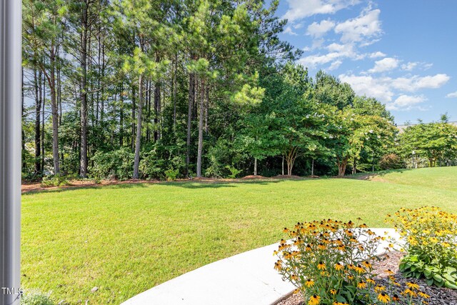 1112 Hooper Pl, Durham, NC 27703 - photo 44
