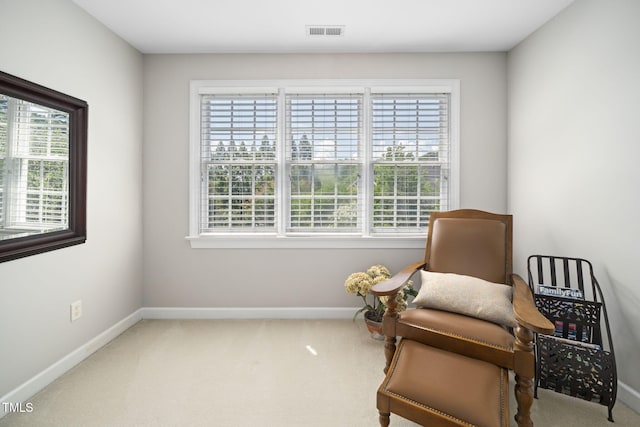 1106 Green Knob Ct, Fuquay Varina, NC 27526 - photo 29