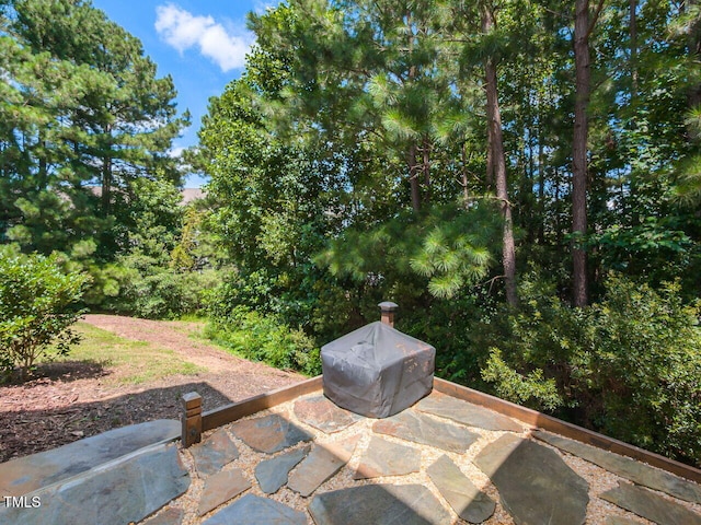 2418 Pecan Ridge Way, Apex, NC 27502 - photo 32