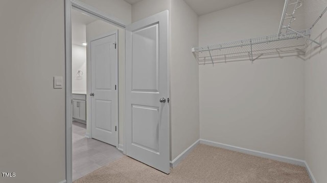 1009 Middlecrest Dr, Rocky Mount, NC 27804 - photo 28
