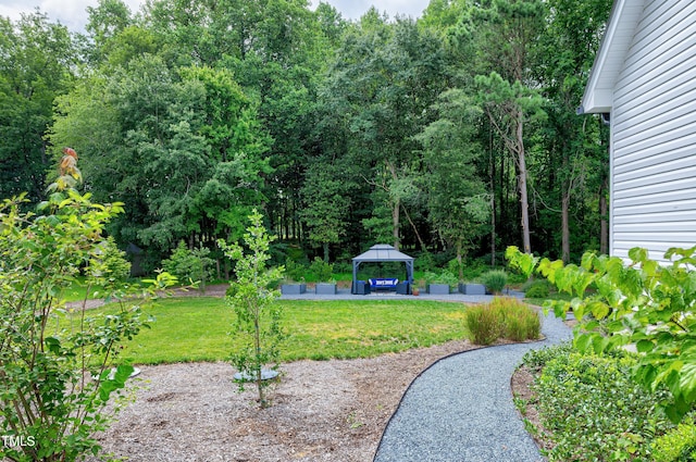 11116 Branding Iron Pl, Wendell, NC 27591 - photo 46